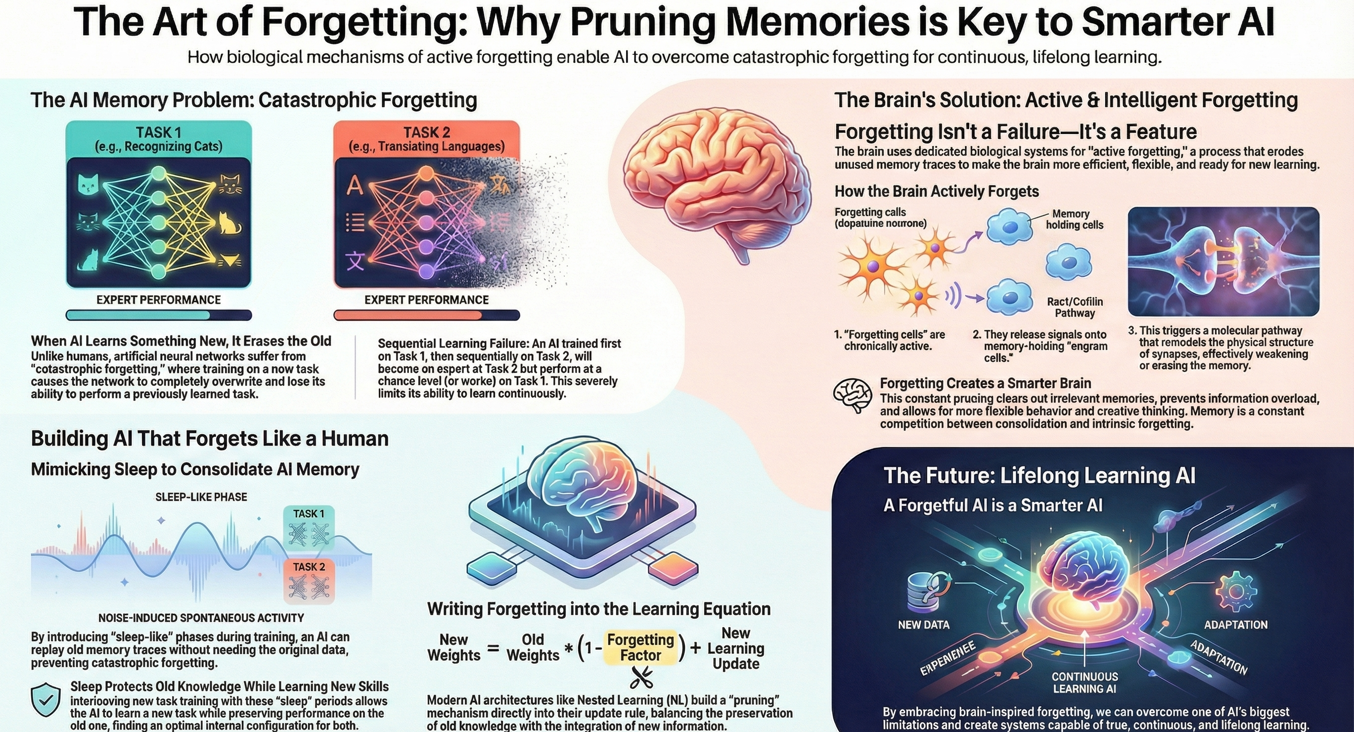 The Art of Forgetting infographic